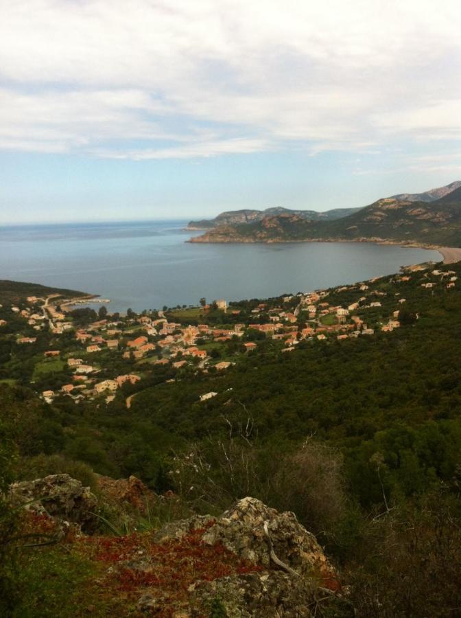 King Room with Mountain View,1157835942:JPEG