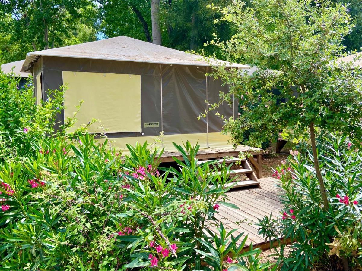 Lodge - Tente Familiale