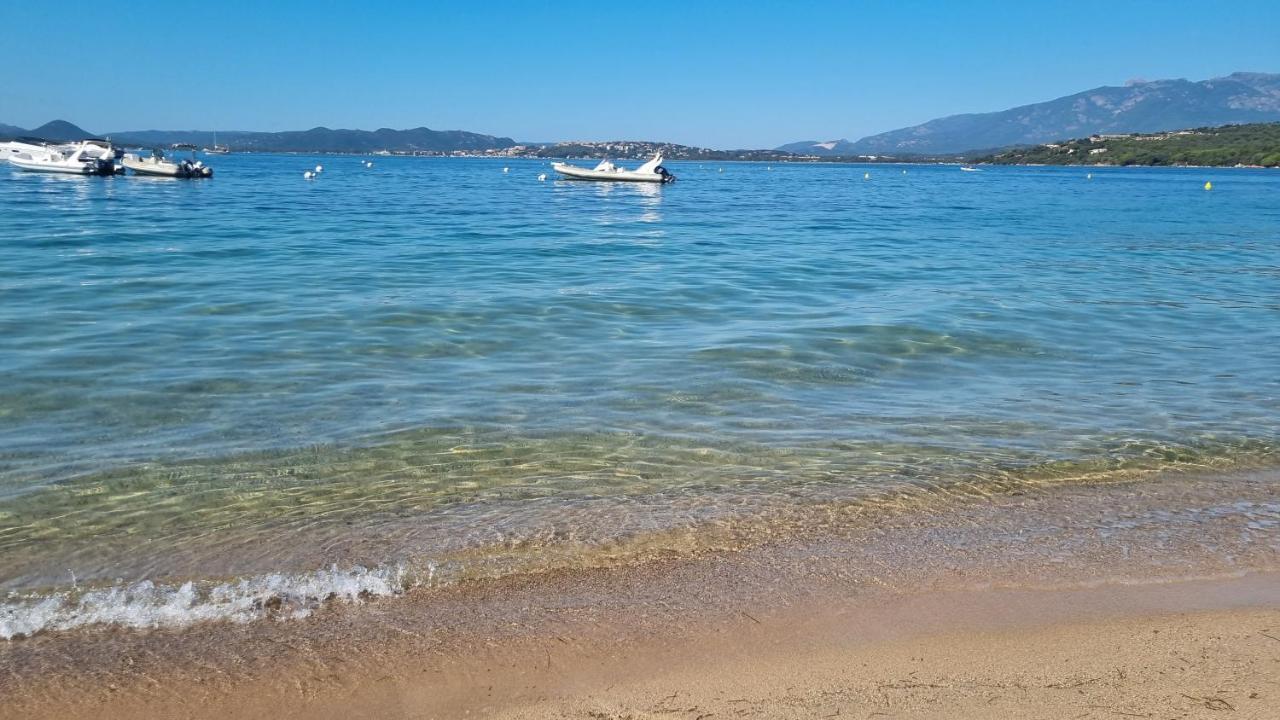 Studio with Terrace,1265881378:JPEG