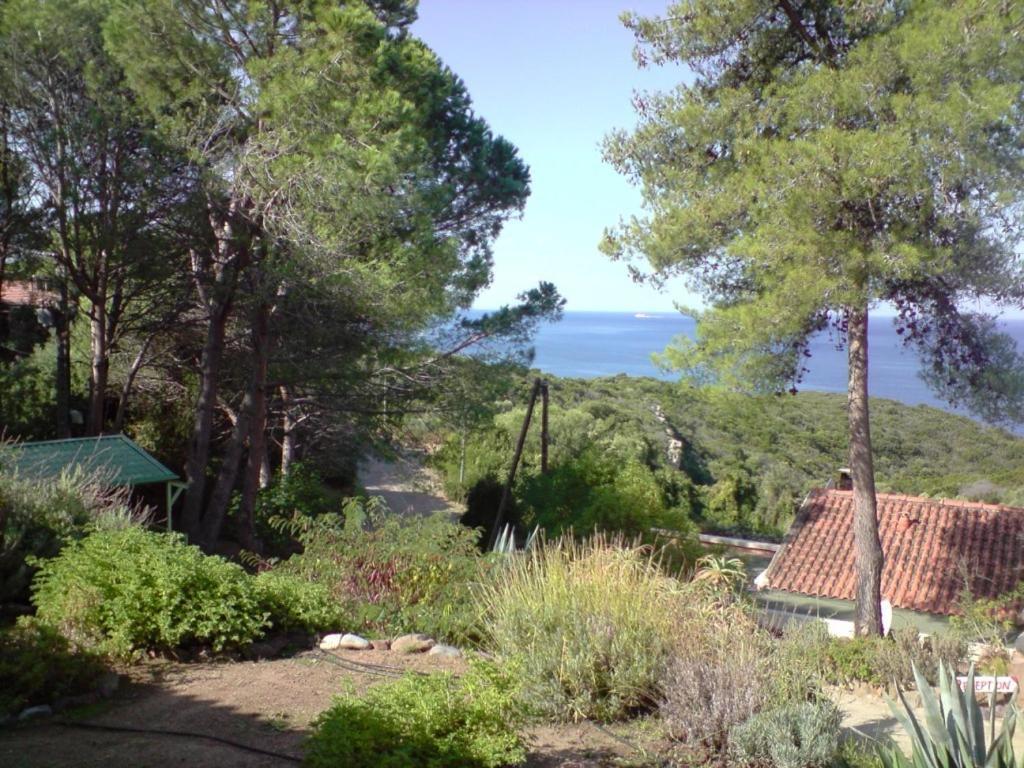 Quadruple Room with Terrace and Sea View,15564484:JPEG