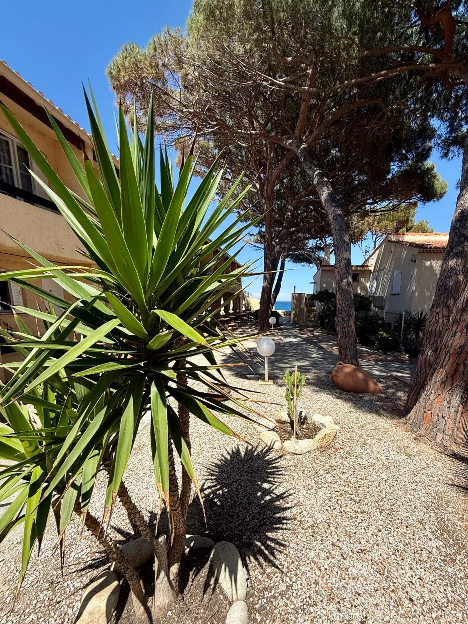 Economy Double Room with Garden View - No Airconditioning
