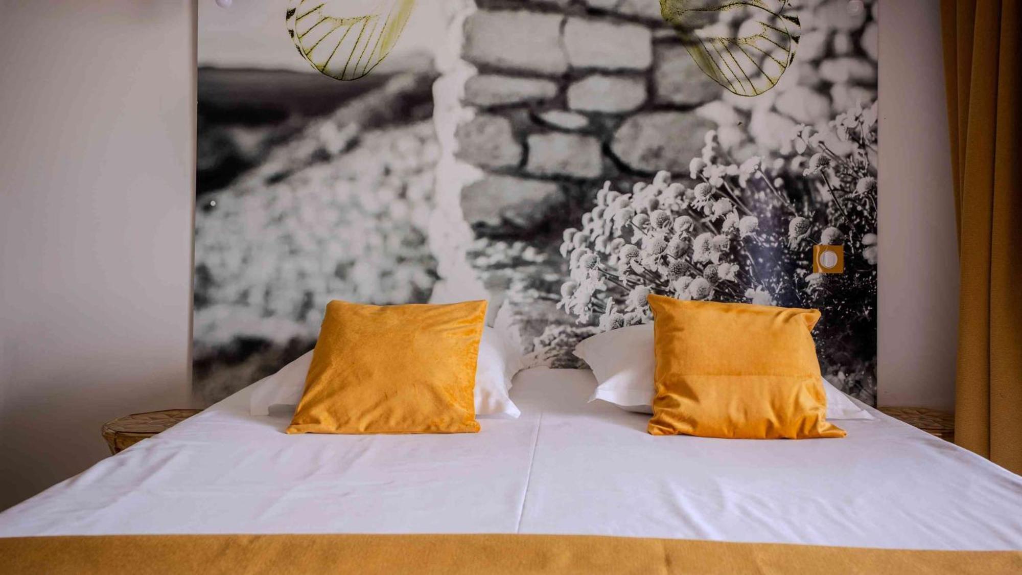 Budget Double Room,1671929229:JPEG