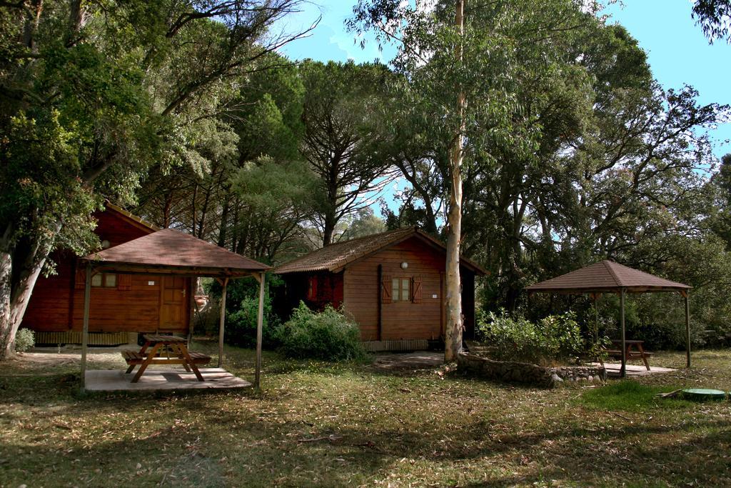 One-Bedroom Chalet,228398201:JPEG