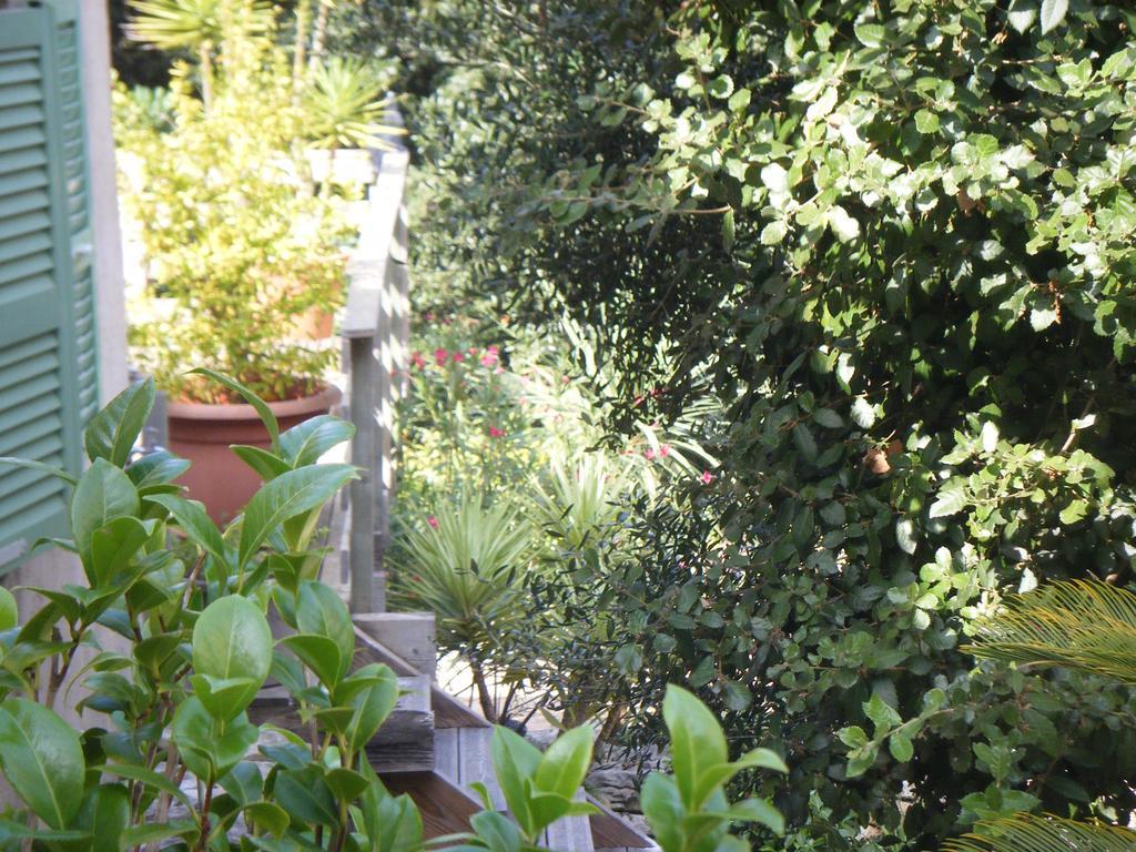 Villa 1 Chambre