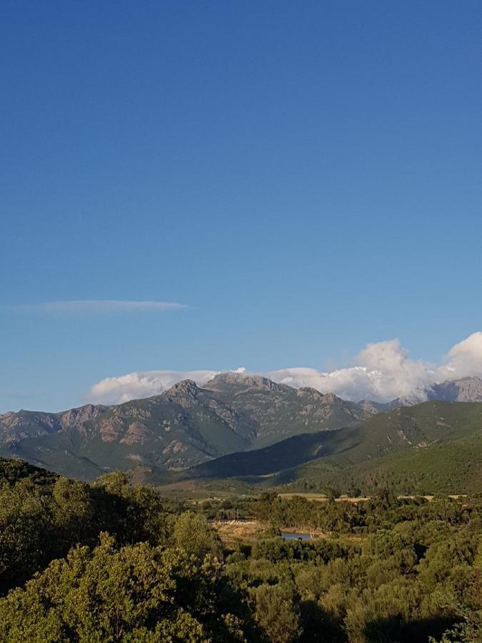 Double Room with Mountain View,666618786:JPEG