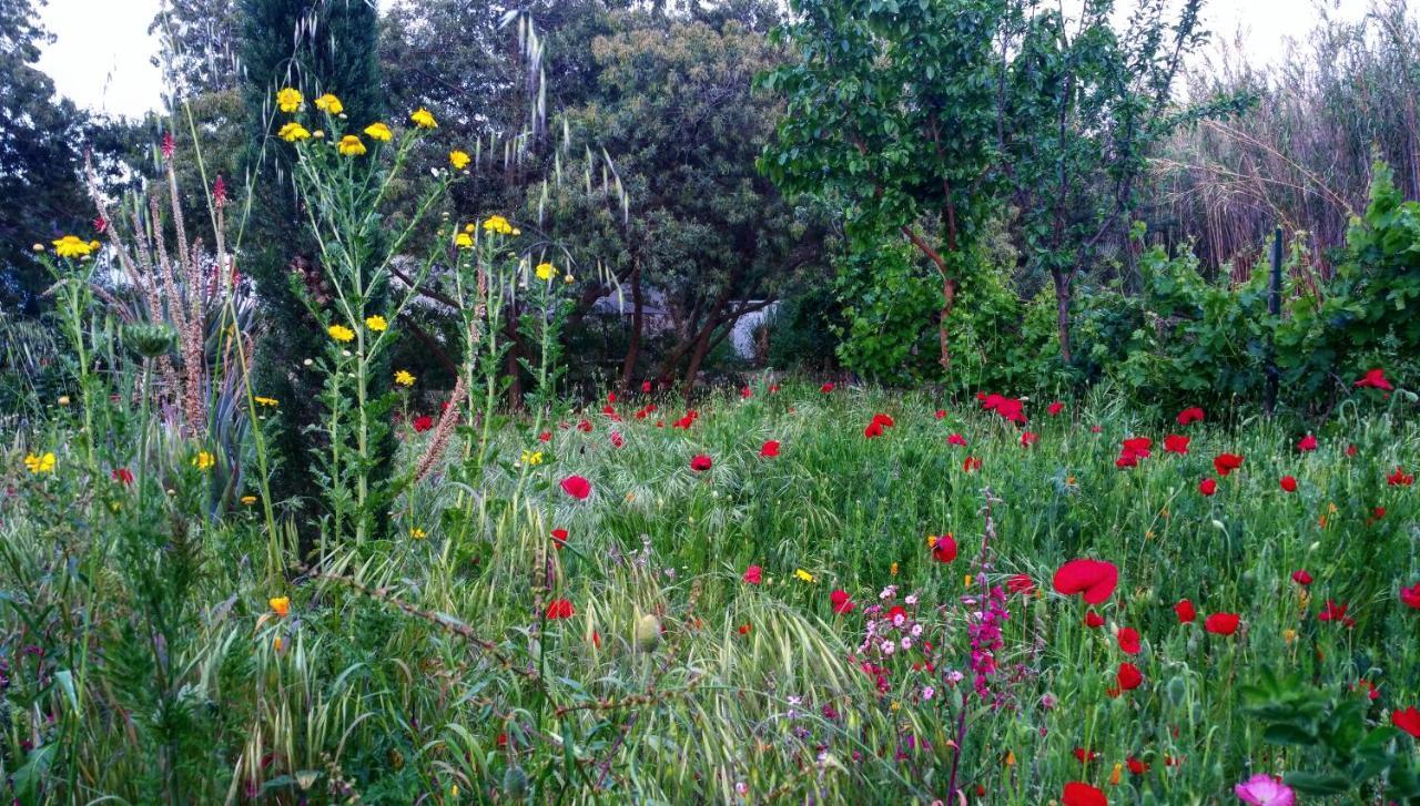 Studio with Garden View,763866100:JPEG