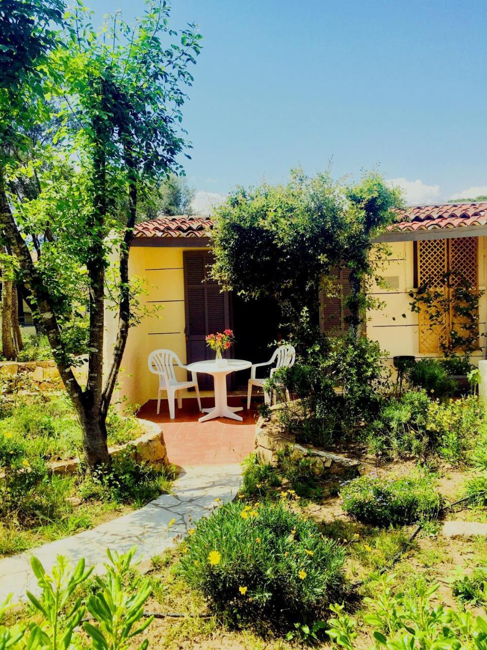 Studio with Garden View