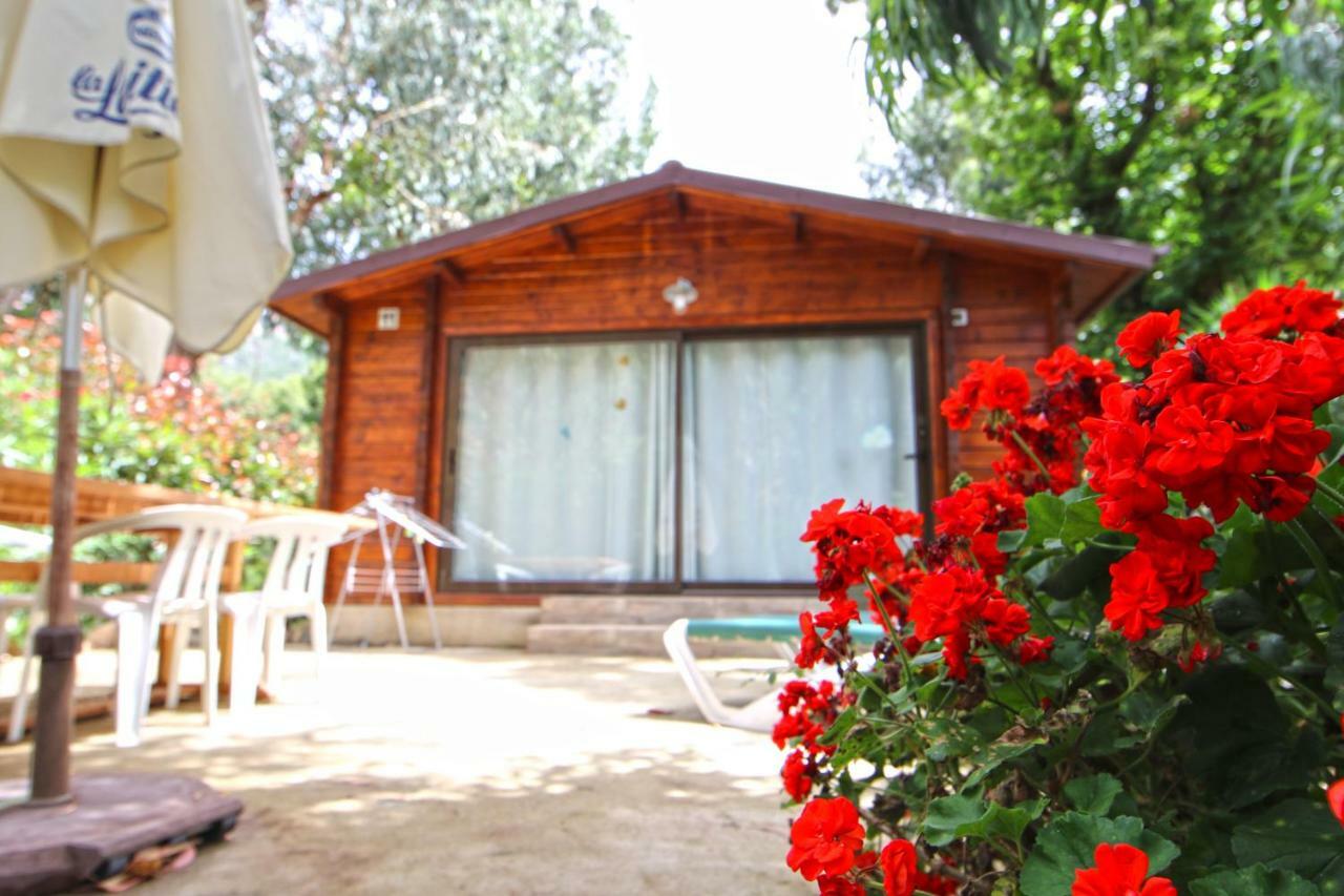 Three-Bedroom Chalet,910494805:JPEG