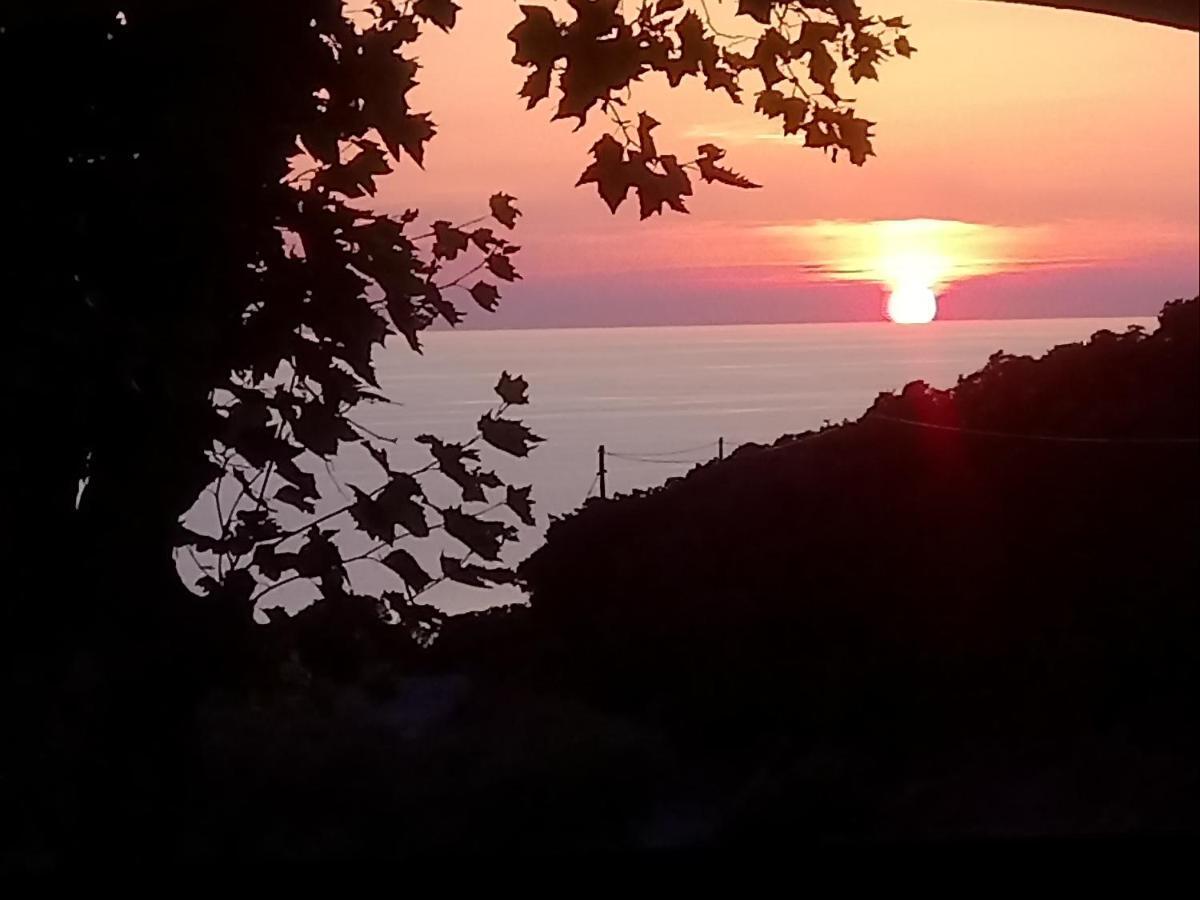 Comfort Family Room with Terrace,1108063881:JPEG