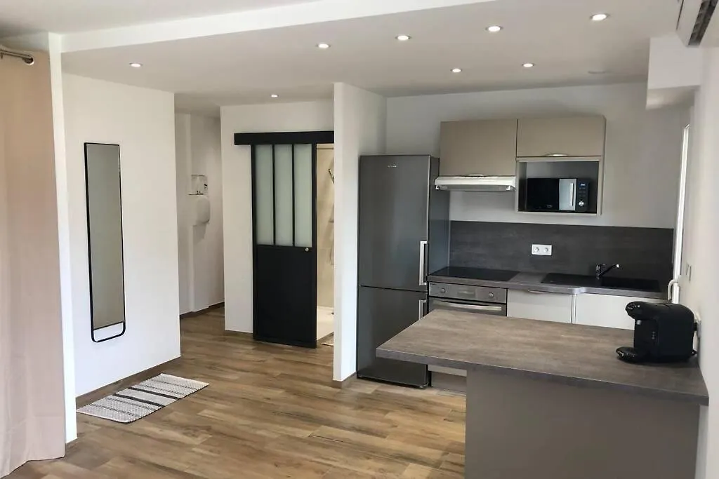 Spacieux Studio Entierement Renove-1