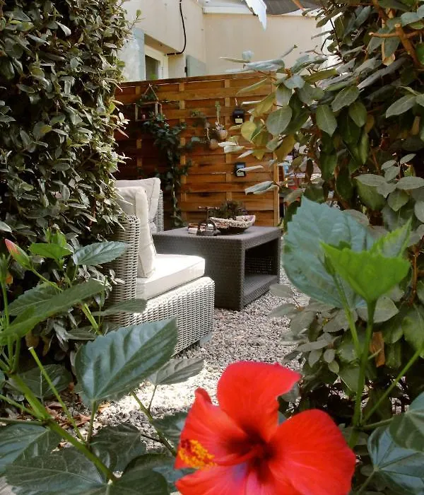 Chambre Terremer-1