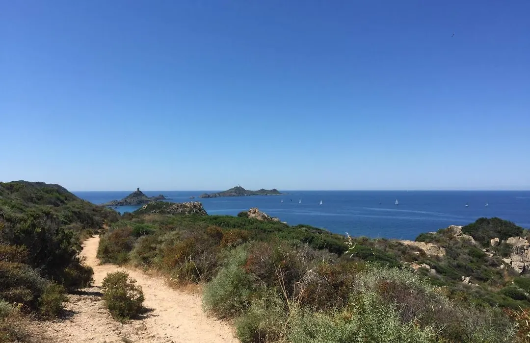 Ajaccio Magnifique T2 45M2 Neuf 5 Personnes Clim Wifi Stationnement Gratuit Centre Ville Plage A 300M-1