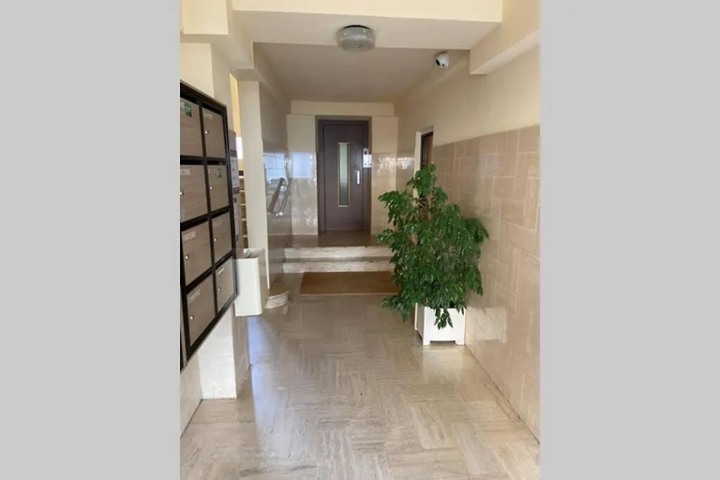 Ajaccio Magnifique T2 Neuf 40M2 Avec Balcon Au Trottel 4 Couchages Wifi Clim Parking Plage A Pieds 100M-1