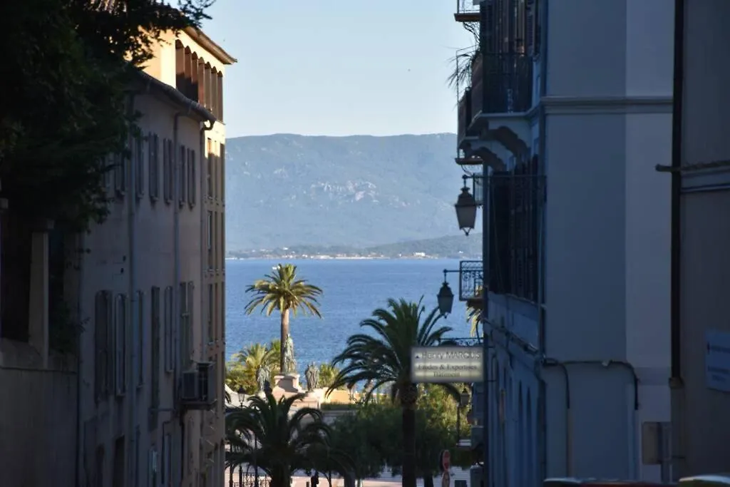 Appartement Plein De Charme - Ajaccio Hyper Centre-1