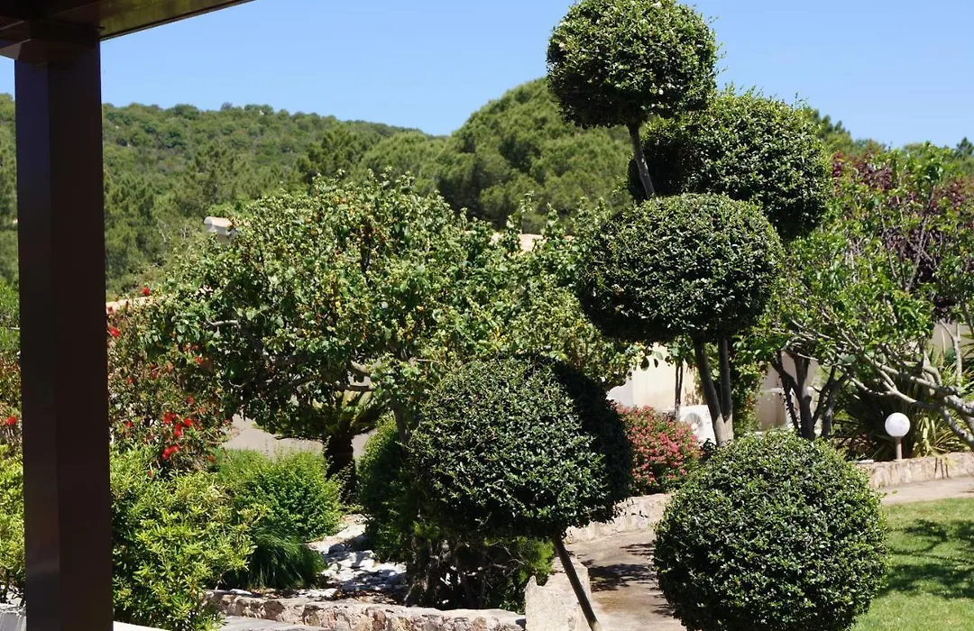 Les Jardins De Santa Giulia - Charmante chambre dhte-1