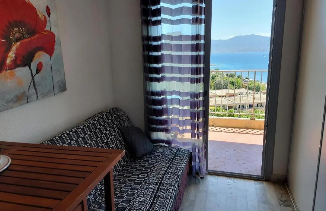 Ajaccio Sanguinaires Appt 3 P Pour 4 A 5 Personnes Ttes Commodites Tt Confort ! A 300M Des Plages Et A 5 Mn Du Centre Ville-1