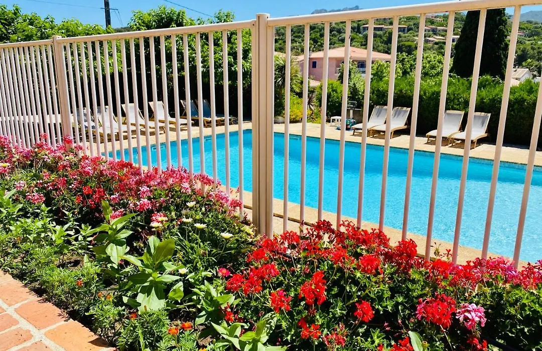 Résidence Marie Diane - Duplex Vue Piscine A-1