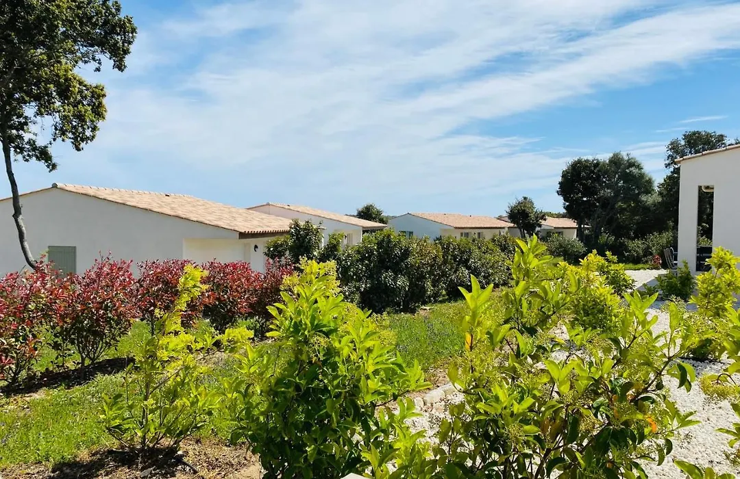Location Villa 2 Chambres A Lavanda Piscine Bonifacio-1