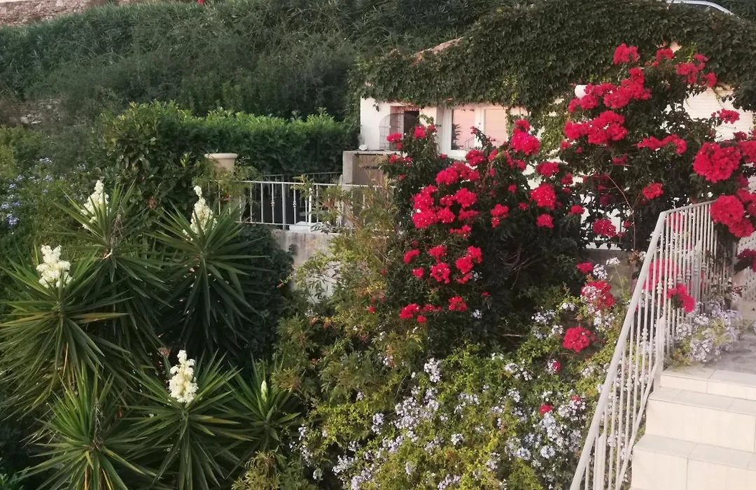 Villa Patrizia-1