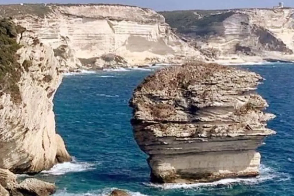 Bonifacio*-1