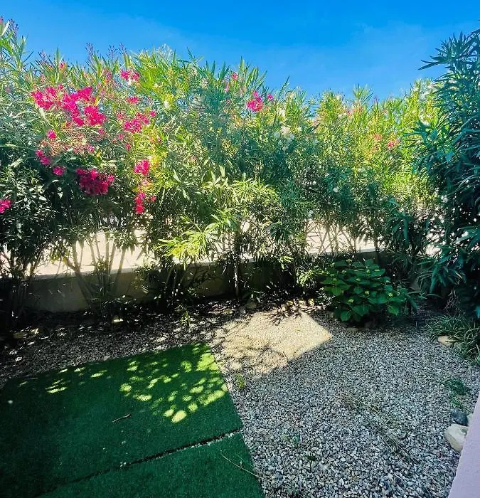 Appartement A 5 Min De Saint Florent-1