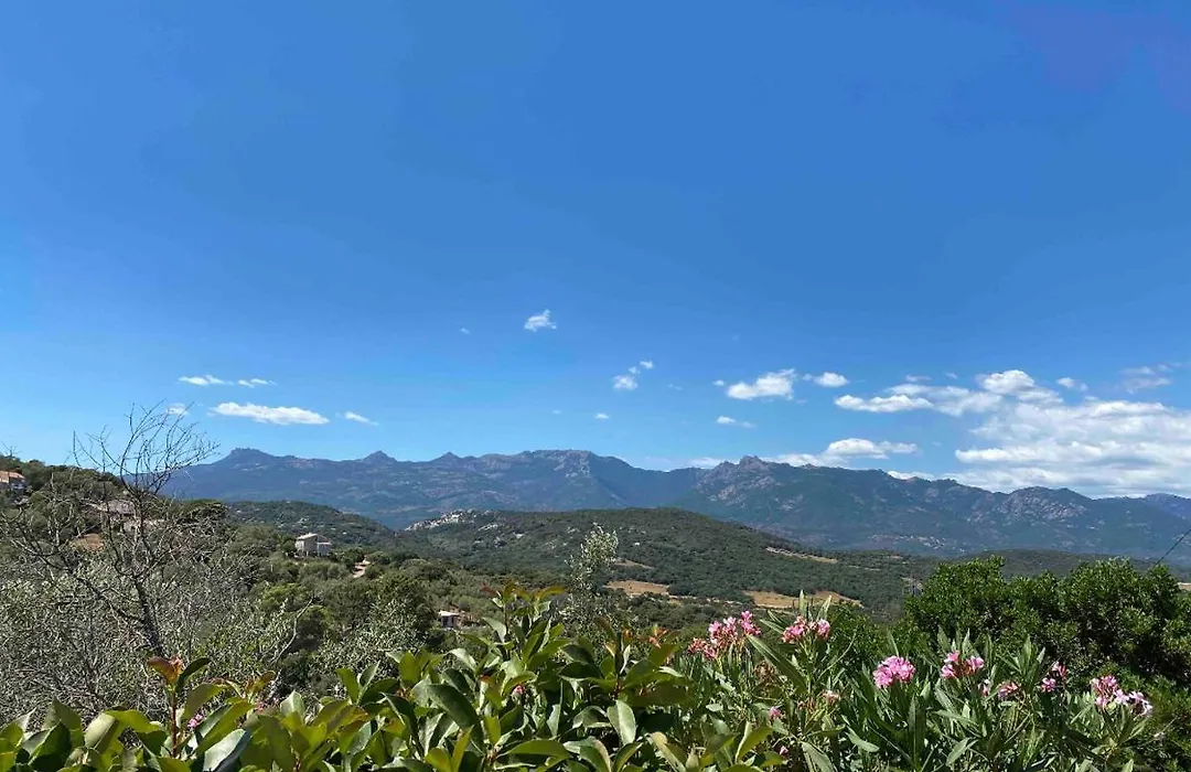 Villa Rdc En Plein Coeur Du Maquis Corse-1