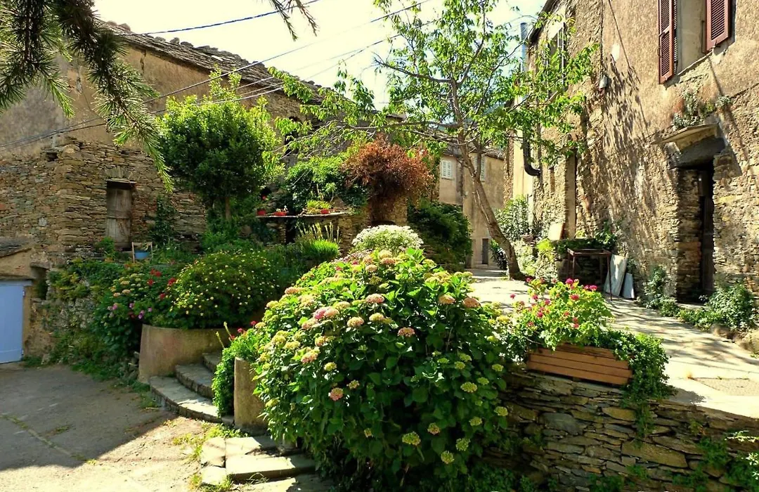 Très jolie maison aux portes du Cap Corse-1