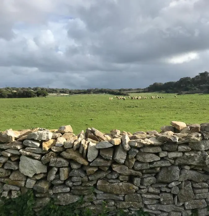 A Casetta Di Cavallo Morto-1