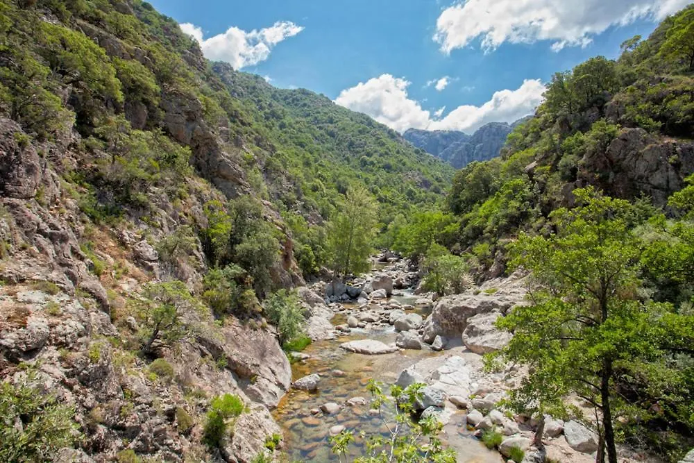 Gîte Du Pont - Piana-1
