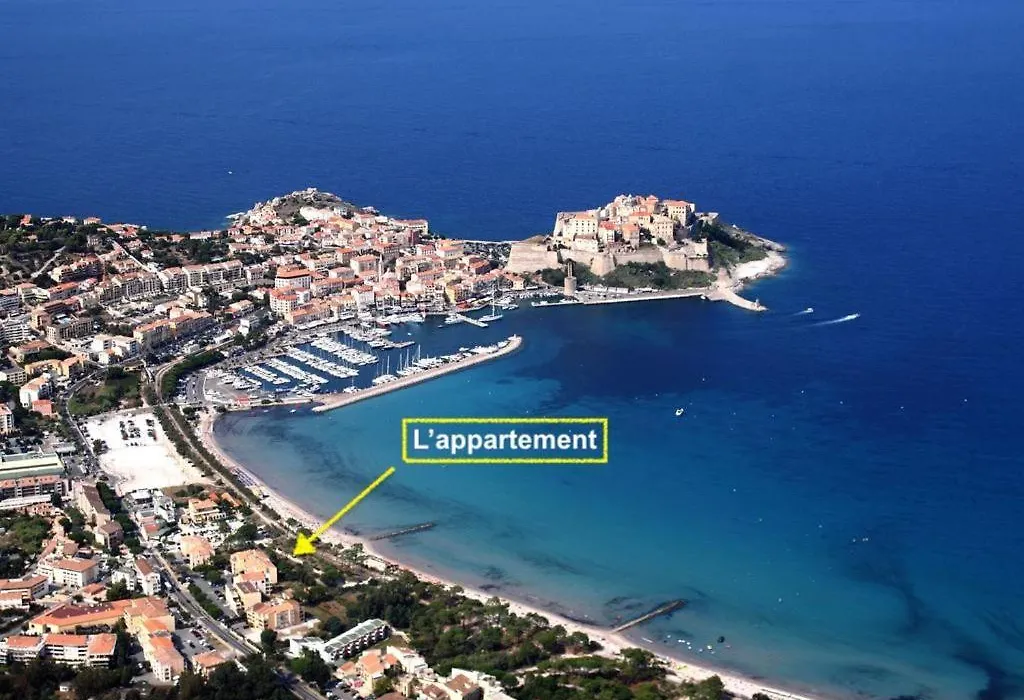 Appartement Ou Studio La Mer & La Plage A Vos Pieds Calvi-1