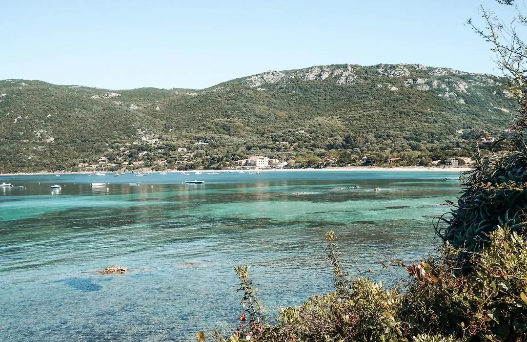 Casonu-1