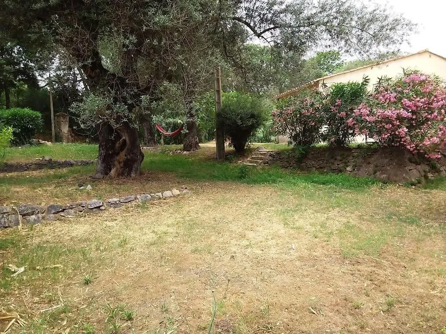 Petit Coin Du Paradis A Proximite Des Plages-1