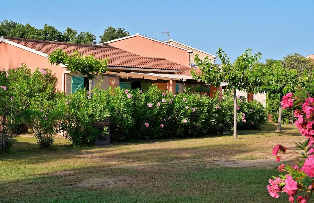 Pinea Mare-1