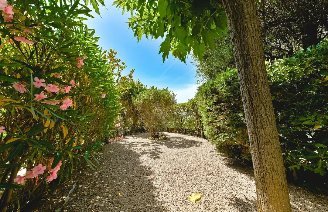 Charmant Appartement - Jardinet Prive - 5 Minutes Des Plages Sanguinaires - Ajaccio-1