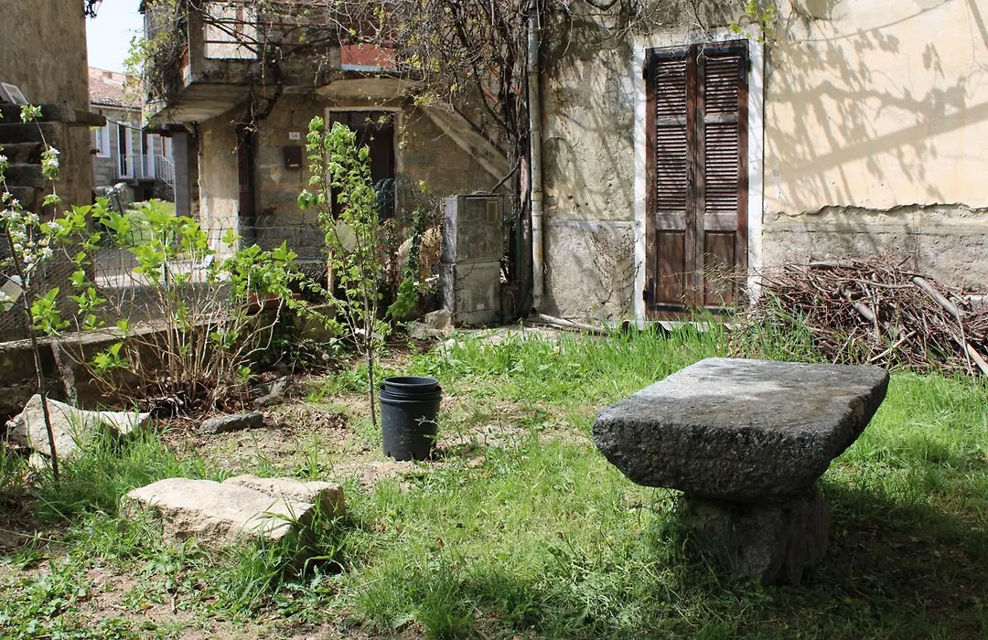 Andriaccia-1