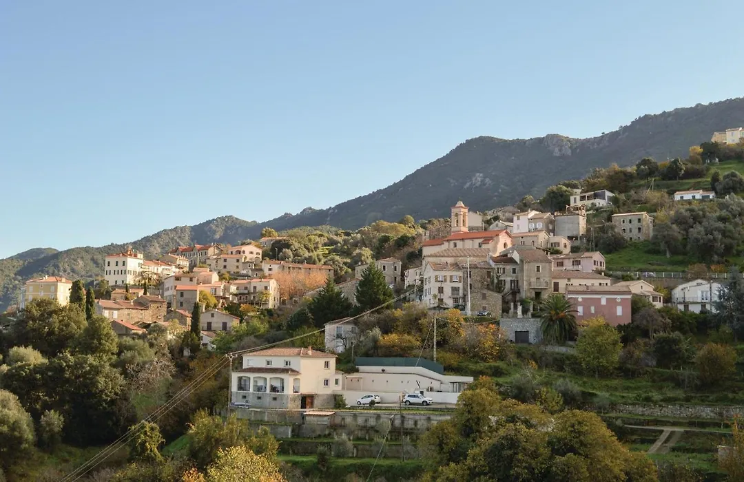 Awesome Apartment In Calcatoggio-1