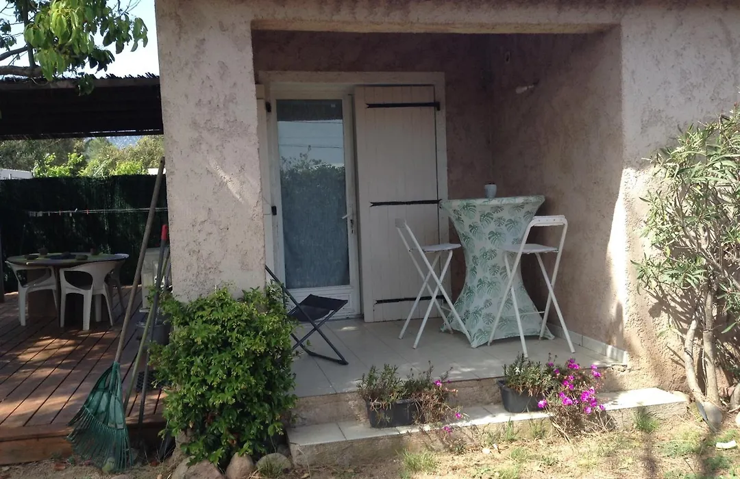 Le Pin Parasol-1