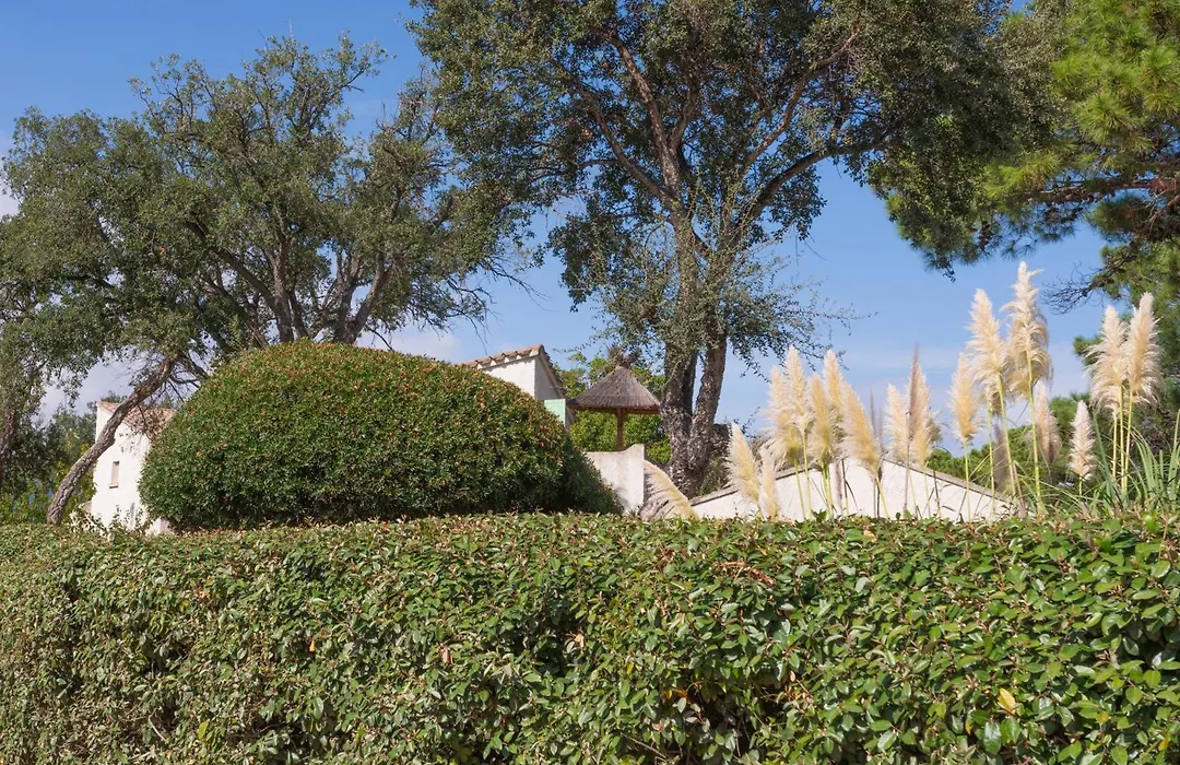 Residence Domaine De Caranella-1