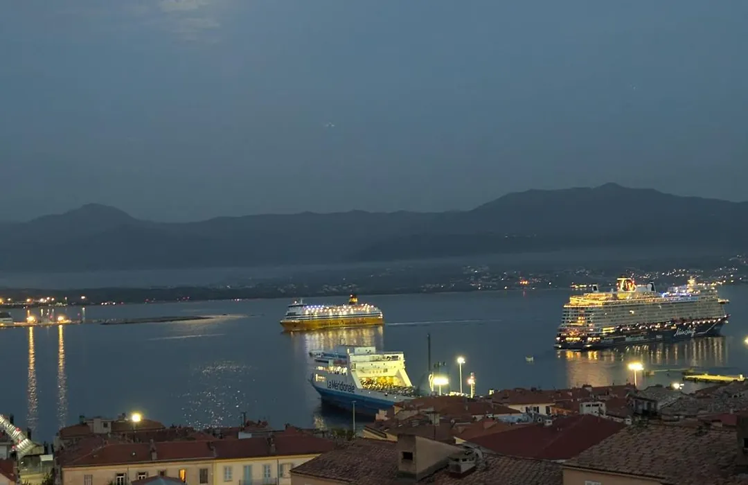 Centre Ville Avec Vue Magnifique Sur Le Golfe D'Ajaccio; Parking Prive.-1