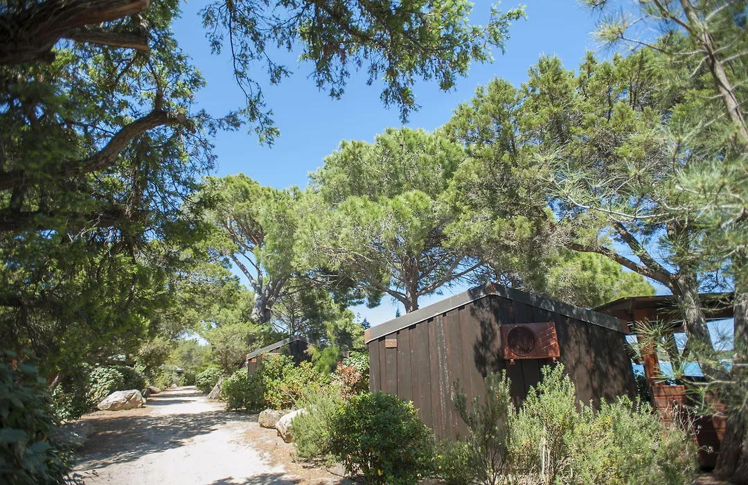 Hotel & Lodges Moby Dick-1