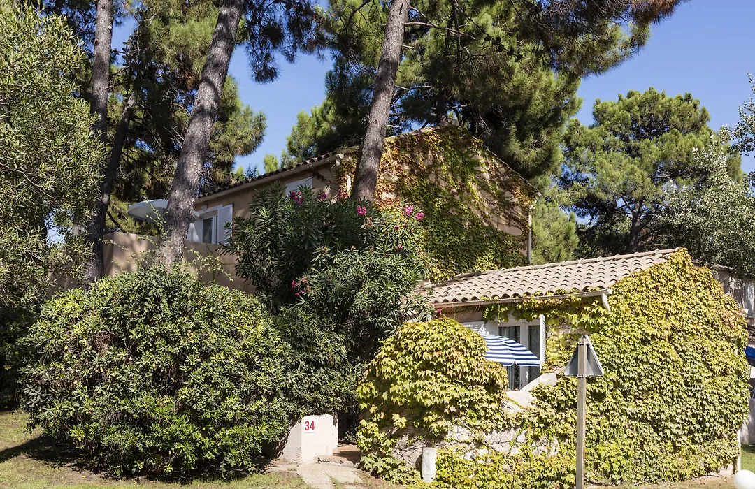 Vignale Resort-1