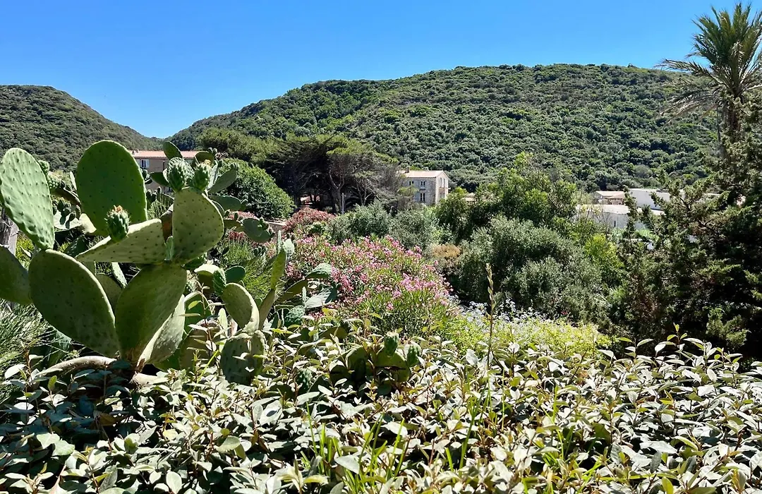 Maison De Maitre Au Charme D'Antan Bonifacio-1