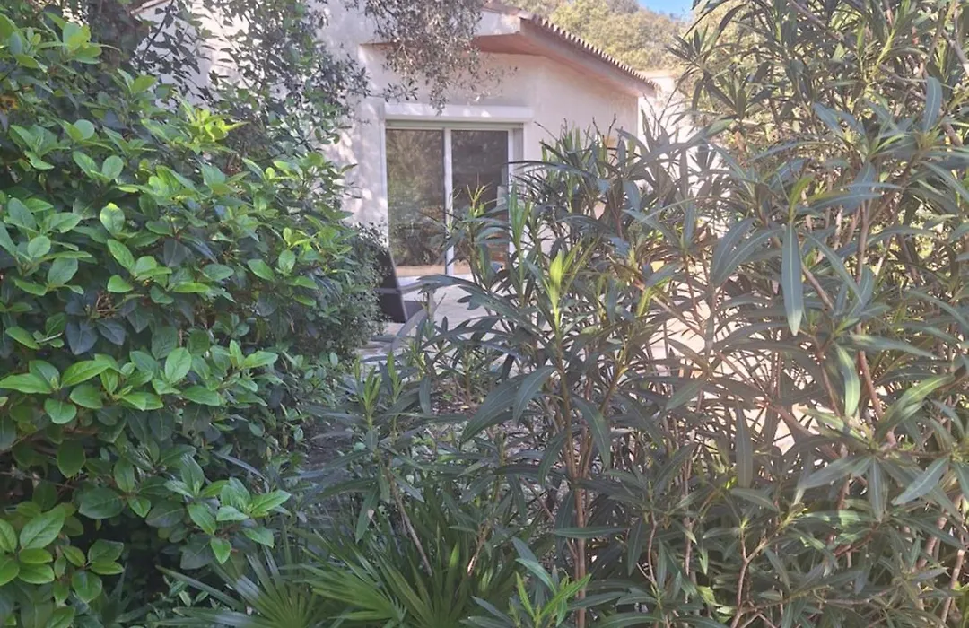 Gîte Acellu-1