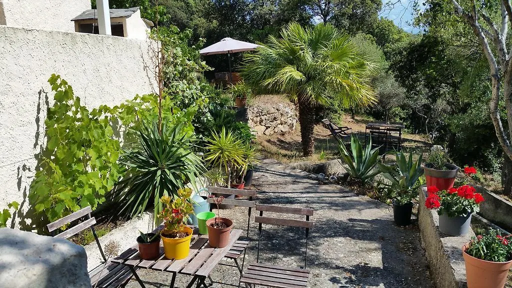 Campo D'Elge-1