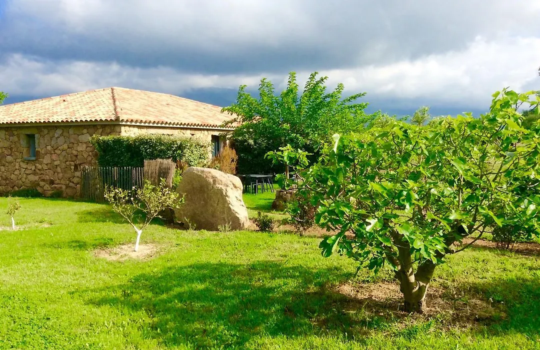 Clos Simoni-1