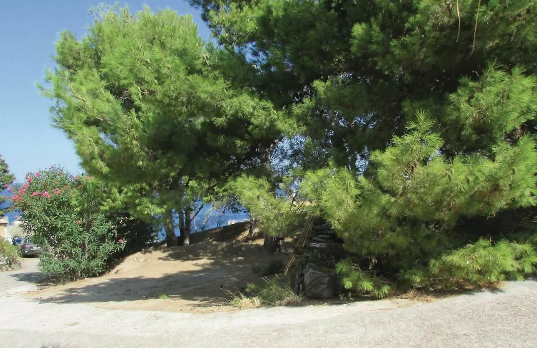 Holiday Home Calvi 10-1