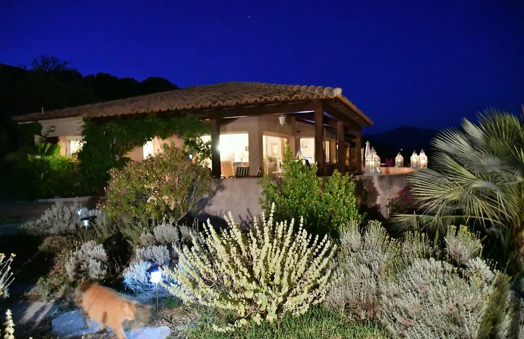 Villa Vetricella Corse Sud-1