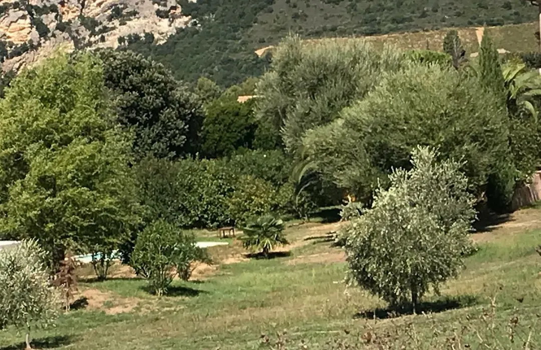 Agréable Location au coeur du vignoble DOMINICI THERESE-1