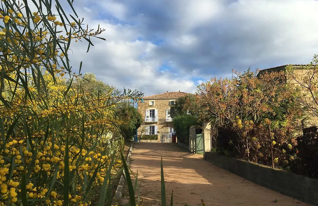 Les Figuiers-1