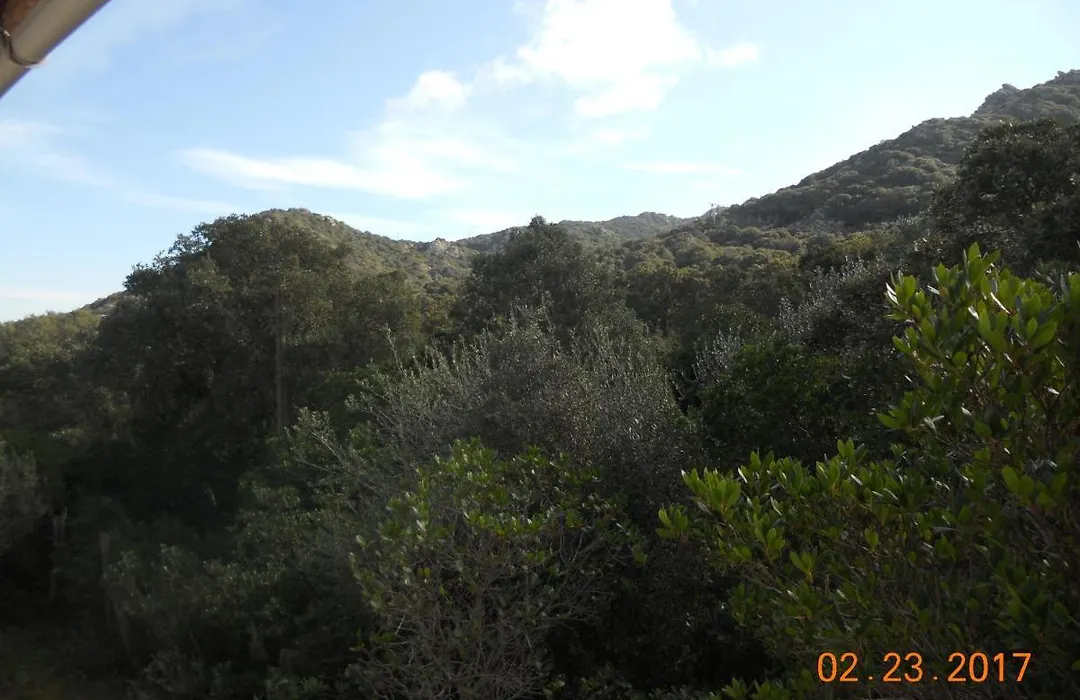 Chambres La Falcia - Figari - Corse Du Sud-1
